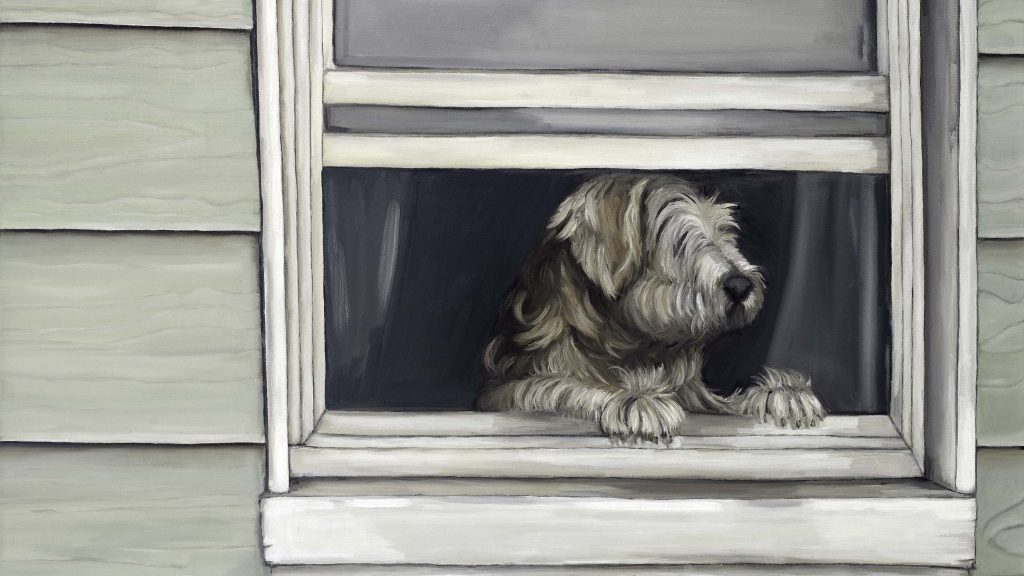 Dog at white window